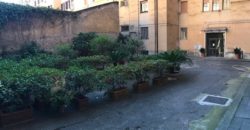 TRASTEVERE – Viale di Trastevere