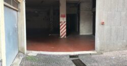 MONTE SACRO – Via delle Vigne Nuove