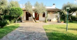 LA COGNA – APRILIA – Via delle Camelie