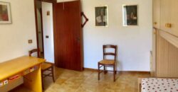 LA COGNA – APRILIA – Via delle Camelie