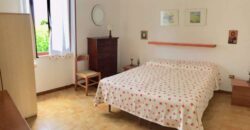 LA COGNA – APRILIA – Via delle Camelie