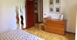 LA COGNA – APRILIA – Via delle Camelie