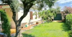 LA COGNA – APRILIA – Via delle Camelie