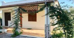 LA COGNA – APRILIA – Via delle Camelie