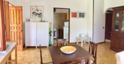 LA COGNA – APRILIA – Via delle Camelie