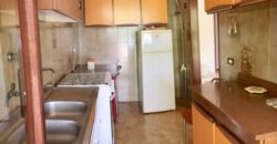 LA COGNA – APRILIA – Via delle Camelie