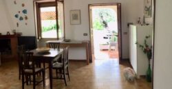 LA COGNA – APRILIA – Via delle Camelie