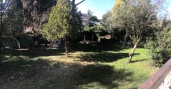 MOSTACCIANO – Via Luigino Tandura